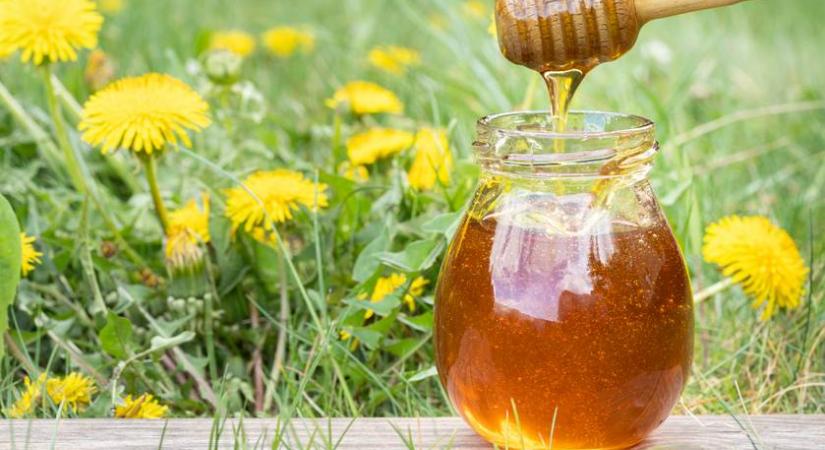 Ebből a virágból könnyen készíthetsz mézet: minden kertben ott virul