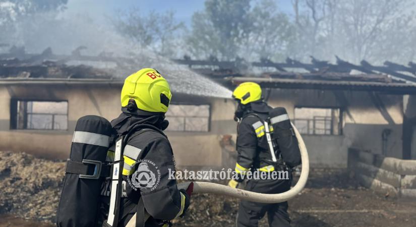 Tűz pusztított egy állattartó telepen Békéscsaba külterületén