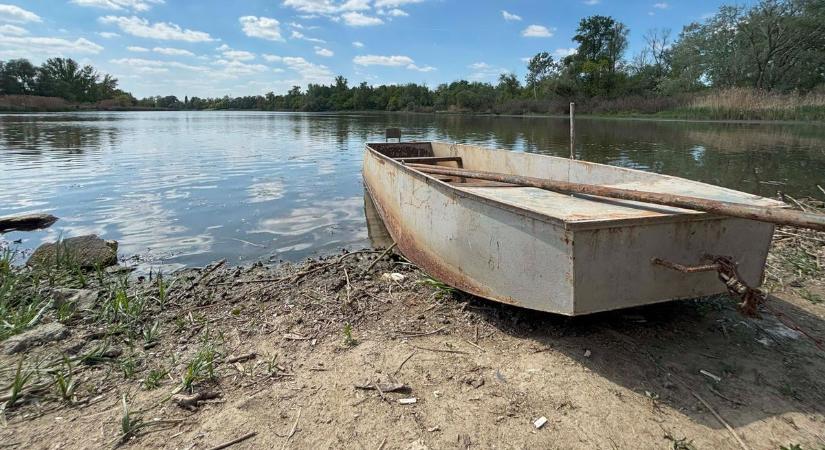 Drámai a helyzet az alpári Holt-Tiszán: fotókon és videón a Kiskunság ékkövének kálváriája