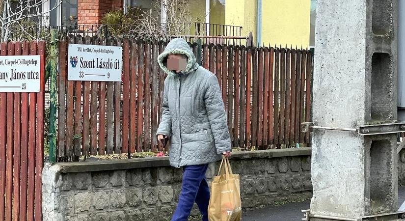 Súlyosbítást követel az ügyészég a csepeli anyagyilkos ügyében