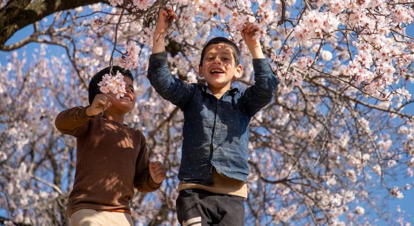 Újabb fordulat az időjárásban: ilyen majális vár ránk