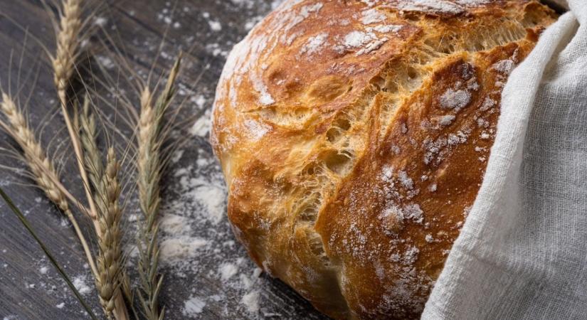 A kenyértárolás legnagyobb hibája – a pékek elárulták, mi a legjobb megoldás