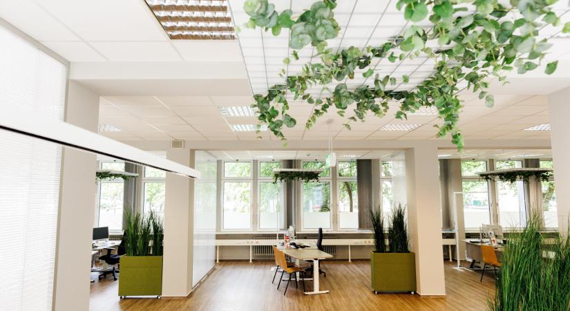 Felfoghatatlan összegeket fizetnek az üres asztalokért a legújabb amerikai cégek: kiderült, mi áll a megmagyarázhatatlan jelenség mögött