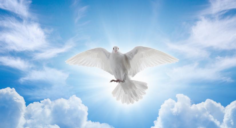 Nem várt az áldásra, hanem maga vált azzá: Sienai Szent Katalin spirituális üzenete ma is él