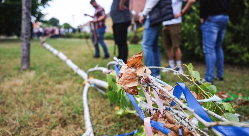 Hamarosan állítás: ezzel készül a különleges alkalomra Magyaregregy