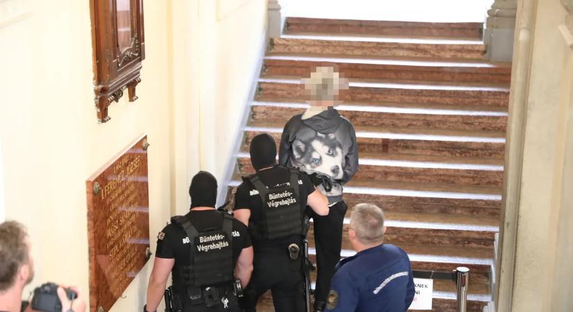 Till Tamás gyilkosság: "Arra kényszerítettek, hogy magamra vállaljam" - mondta Fehér János