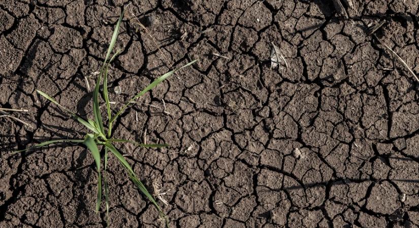 Kimondták a kutatók: sosem látott hőség perzselte fel Európát tavaly, de ez még csak a kezdet