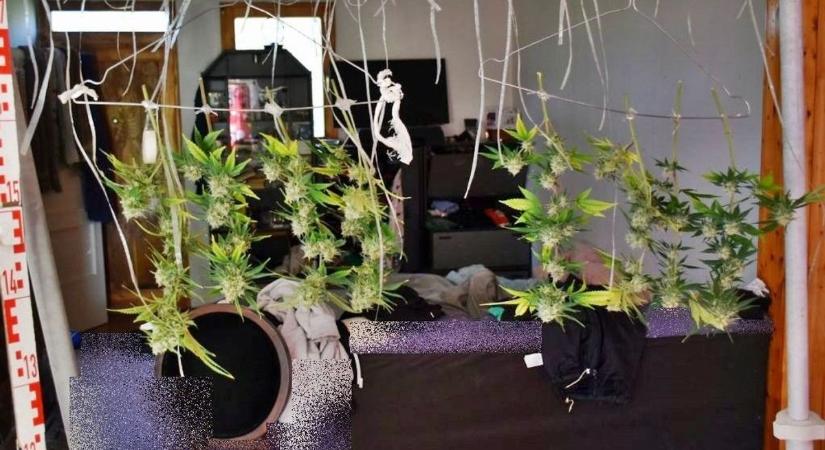 A soproni rendőröket kapcsolati erőszakhoz riasztották, a pár lakásában azonban meglepetés várta őket - fotó