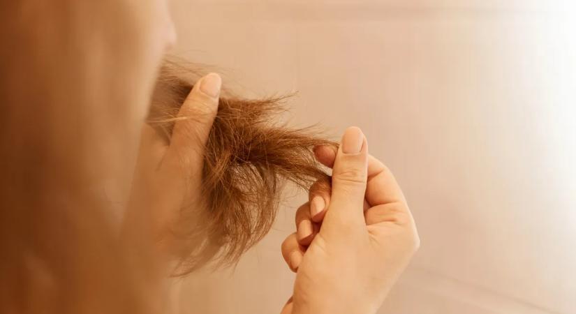 Ilyet még nem láttál! Hajhullást okozhat a legújabb TikTok-trend