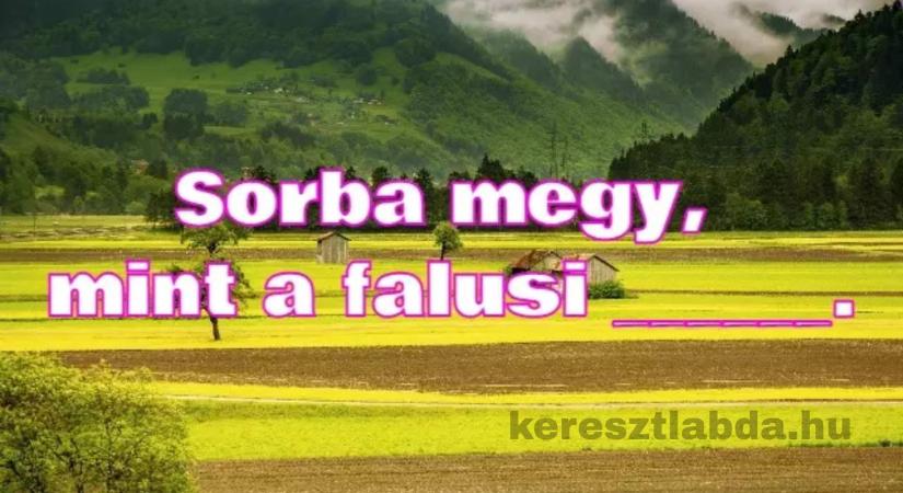 Napi közmondás feladat: „Sorba megy, mint a falusi…” – Te tudod, mi hiányzik?
