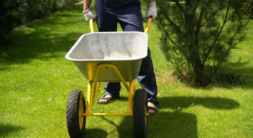 Talicskával érkeztek az adományok, tömegek vitték haza a kincseket Balástyán
