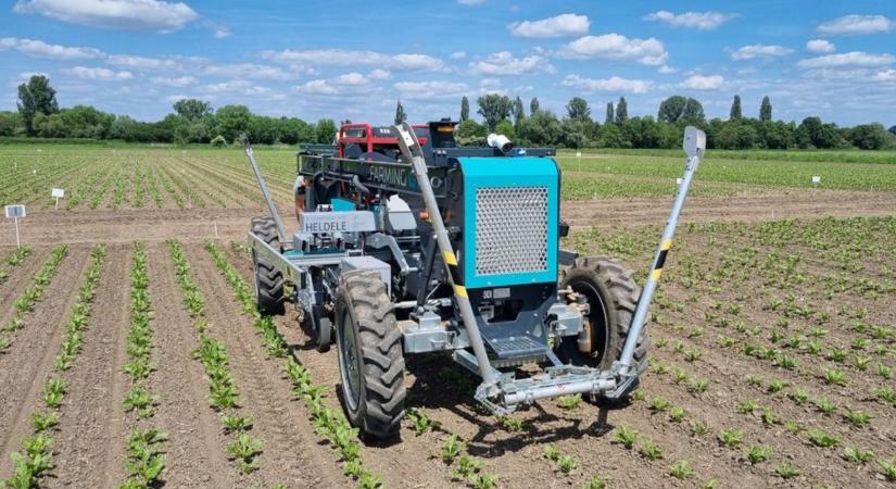 Dráguló munkaerő, fogyatkozó szerek: ez a technológia lehet a gazdák egyetlen biztos pontja