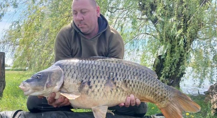 Különleges mintázatú pontyot fogtak a Látóképen – fotóval