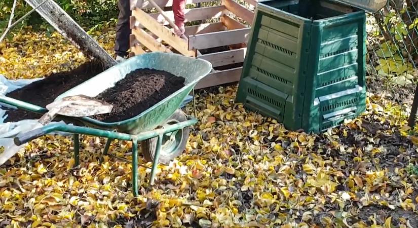 Kertészem figyelmeztetett: ez a 3 komposztálási hiba odacsalogatja patkányt és rókát a kertbe