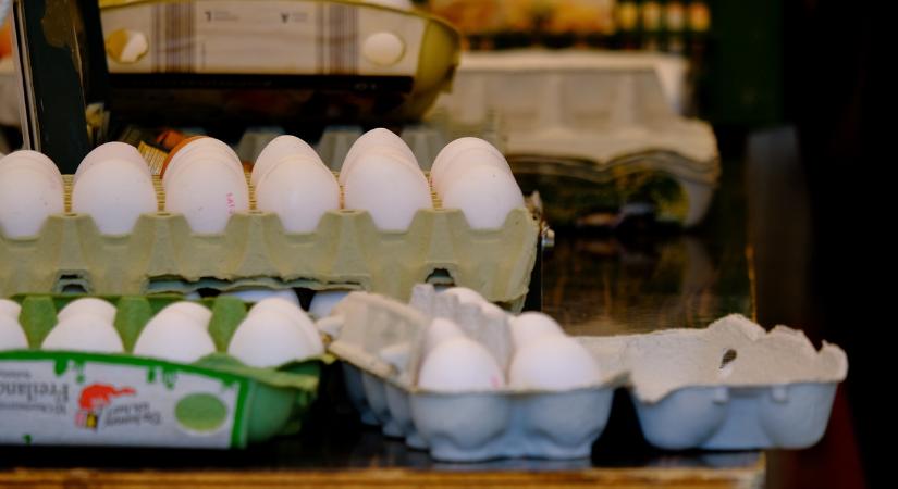 Olyan nincs, hogy nincs: ez a multi gigantikus beruházással védi ki a tojásellátási krízist