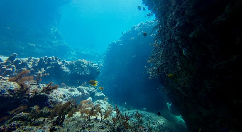 Egy rejtélyes aranygömböt fedeztek fel az óceán fenekén, több mint két év után azonosították - videó