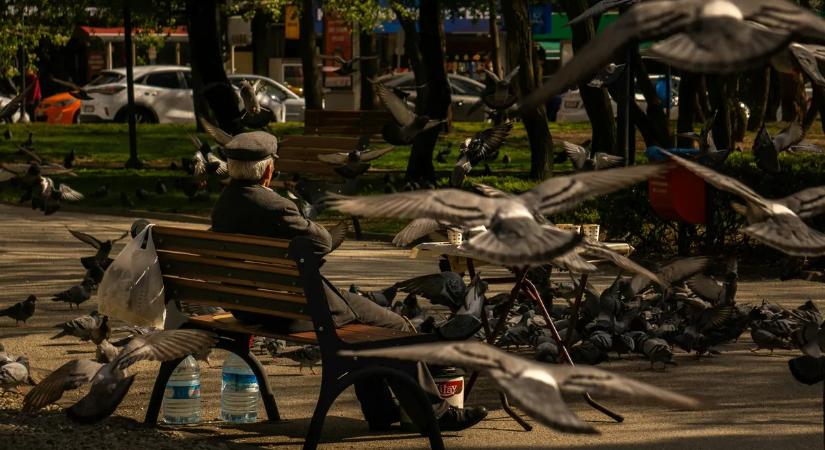 Megszólalt a rendőrség: kiderült, miért lőttek a solymári óvoda épületére