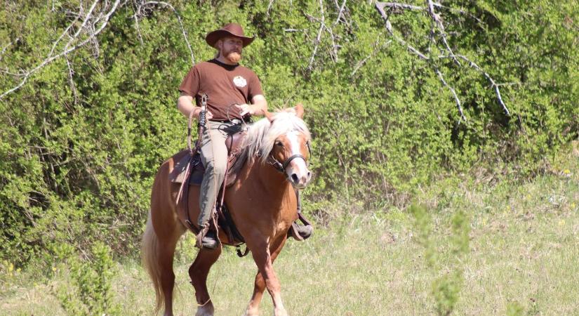 Lovon természetközelben