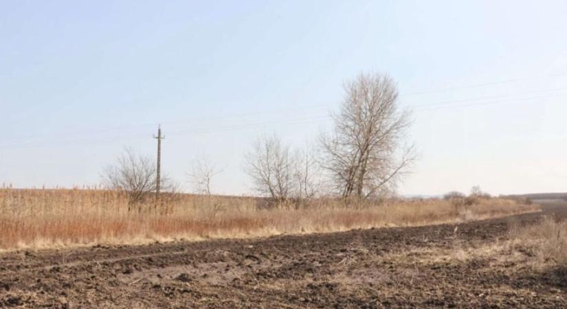 Fácánvadászat közben sebesítette meg társát egy férfi