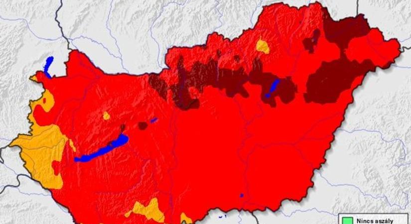 Kongatják a vészharangot a gazdák: brutális tavaszi aszály sújtja Fejér megyét, veszélyben a vetés