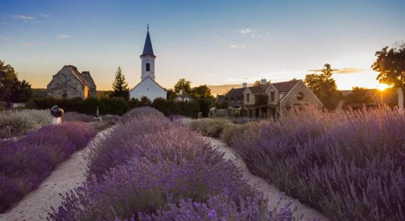 Az önkormányzat testületi üléseit ajánlotta a fogyatékkal élők igényeinek kielégítésére a dörgicsei önkormányzat a helyi esélyegyenlőségi programban