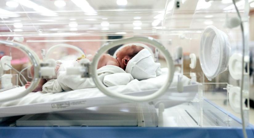 Csodás magyar felfedezés: az orrjáratba adott anyatej segíthet az agykárosodott újszülötteken
