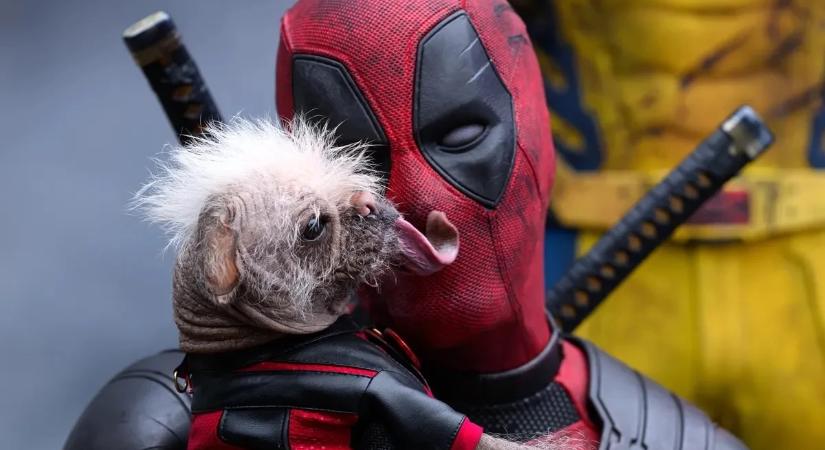 Újabb helyzetjelentést hozott Deadpool jövőjére Ryan Reynolds, aki a jelek szerint nem siet túlzottan visszabújni a zsoldos szerkójába