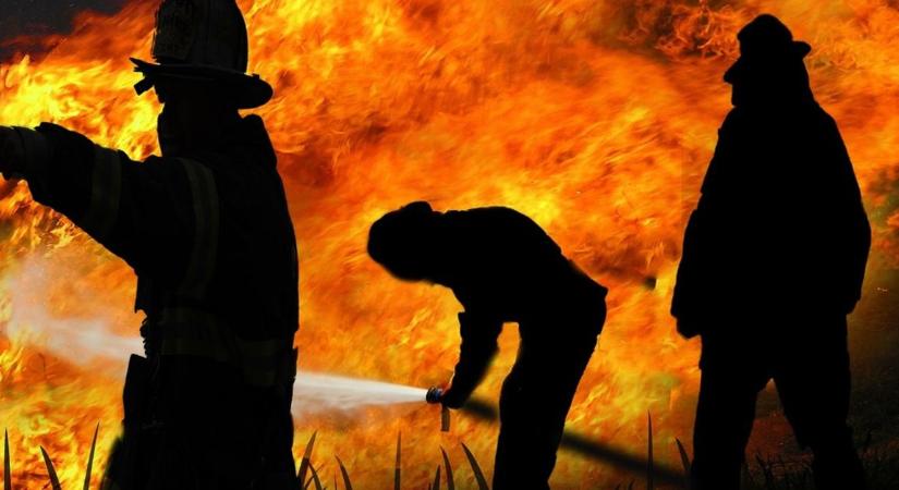 Elérheti a tűz a takarmányt, kritikus a helyzet: már 10 hektáron pusztítanak a lángok