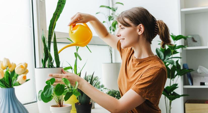 Meghökkentő felfedezés: így „szólnak” hozzánk a növények