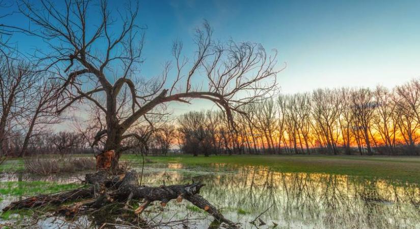 A legkülönlegesebb vízi tanösvények itthon: másik világba kalauzolnak