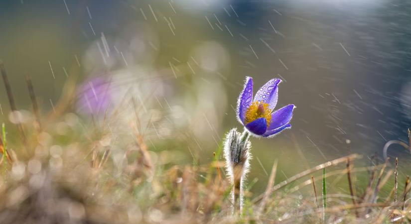 Meglepő fordulat Szegeden? Ilyen idő lesz holnap