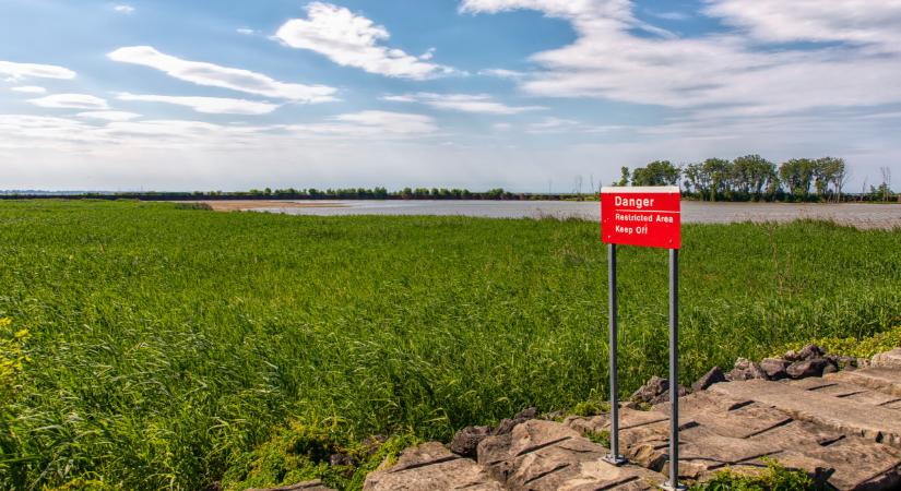 Tarthatatlan a helyzet az ukrán határnál: sorra zárják be a sertéstelepeket