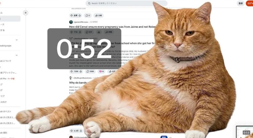 Egy dagi macska véd meg a végtelen görgetéstől