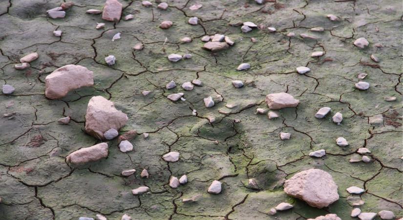 Rettentően alacsony a Duna, a Balaton és a Velencei-tó vízszintje is