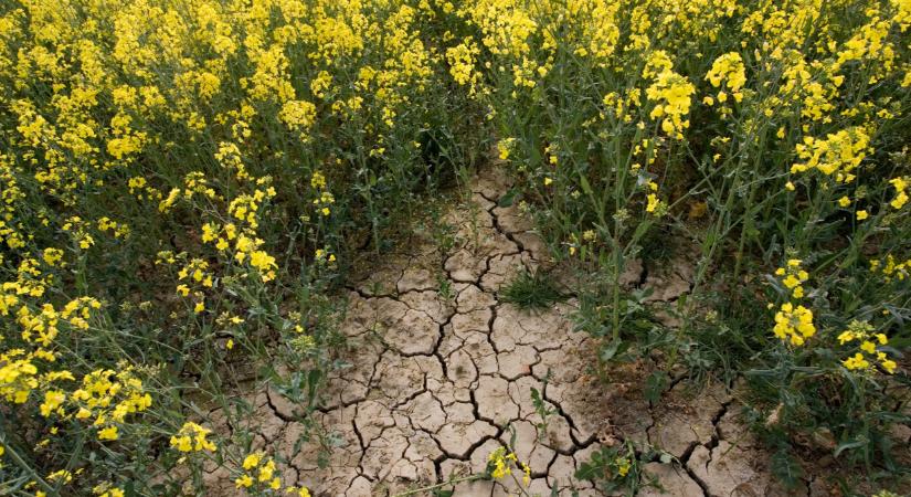 A korábbi éveknél is durvább lehet 2026: erre jobb lesz felkészülni