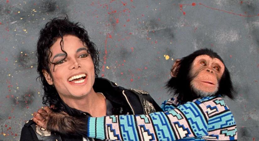 Michael Jackson híres csimpánza körül hatalmas a káosz