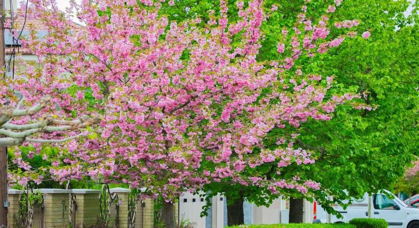 Megjött a friss előrejelzés: így tervezz szabadtéri programot csütörtökre