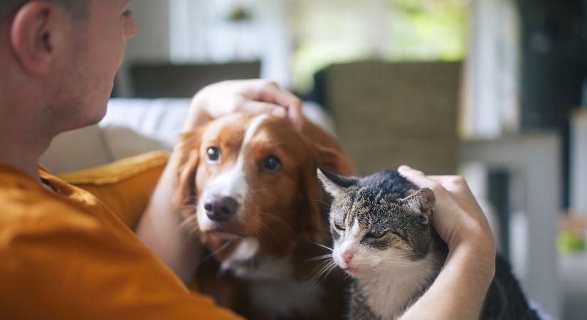 Teljes fordulat az állattartásban: az EU minden kutyára és macskára kiterjeszti az új szabályt
