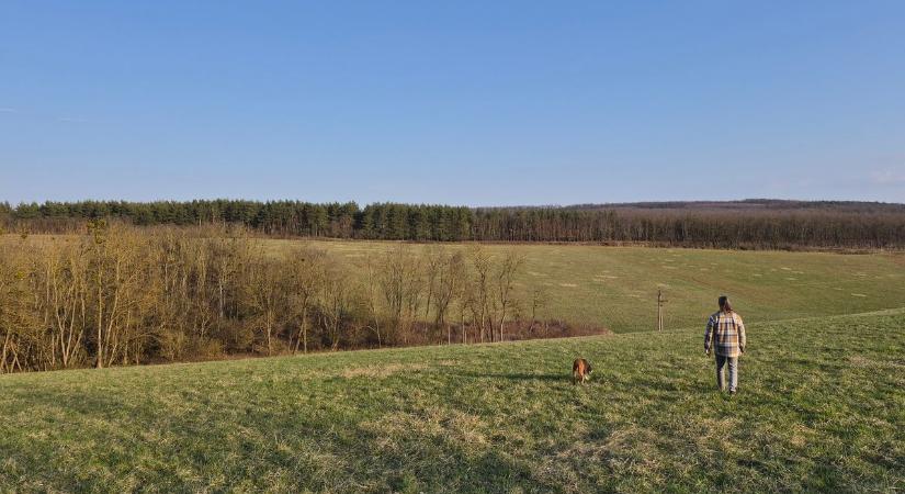 Milyen meglepetésre számíthatunk csütörtökön?