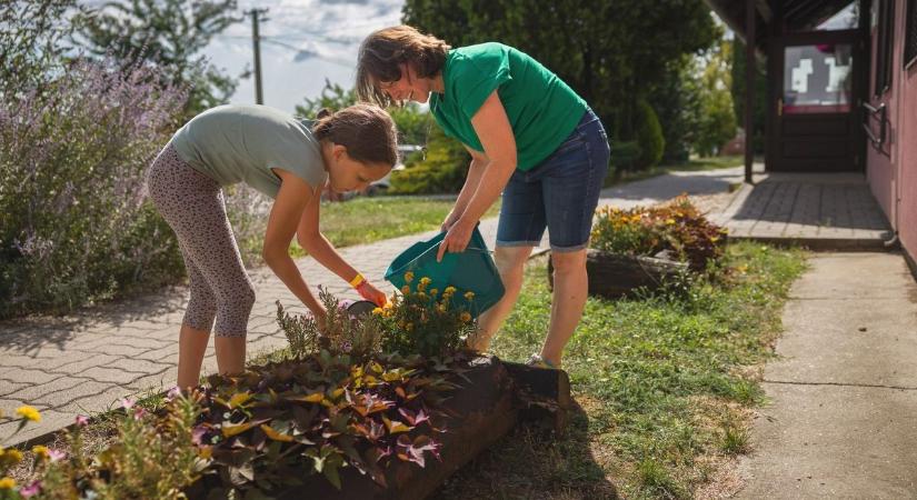 Egy kihagyott locsolás, és minden odalesz? – Ezeket ültesd el májusban, hogy ne vesszen kárba a munkád