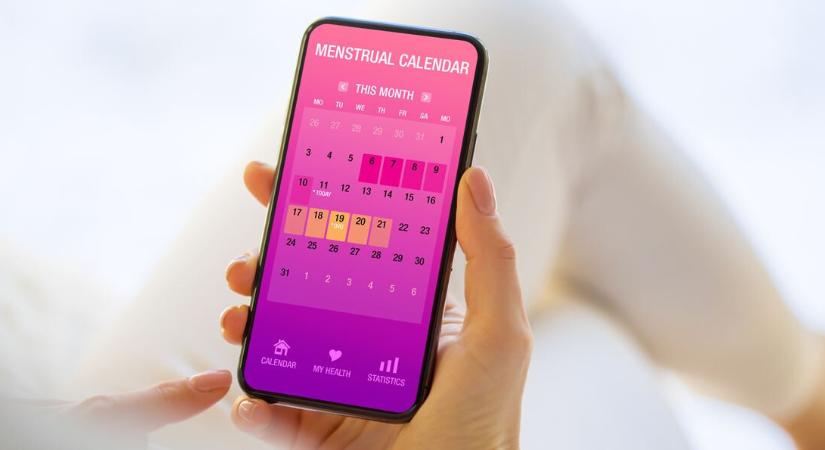 Kvíz: a hüvely öntisztuló szerv. Igaz vagy hamis? – Teszteld, mennyire ismered a női testet!
