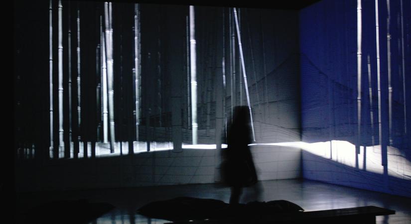 Lénárt Flóra versei