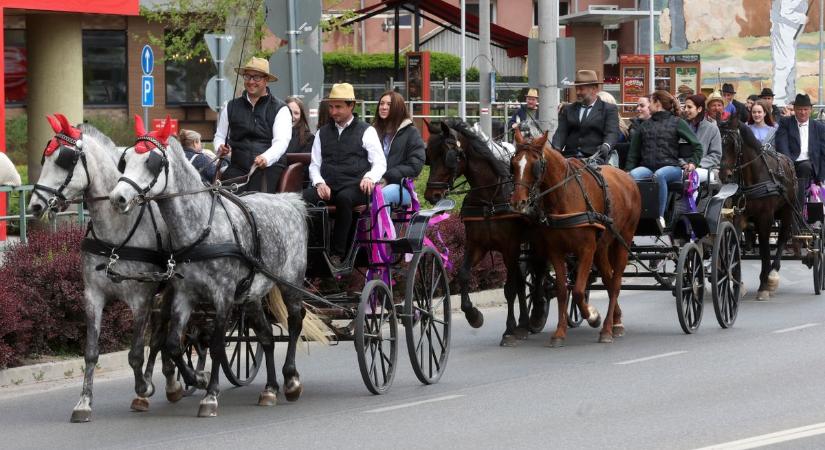 Gázfröccs, patadobogás és szélben szálló lufik: így búcsúzott a jövő agráriuma Kaposváron - FOTÓ, VIDEÓ
