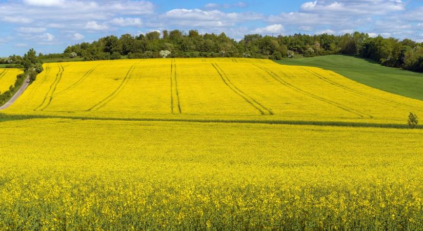 25 fok várható a hétvégén, meleg lesz a Kisalföldön is