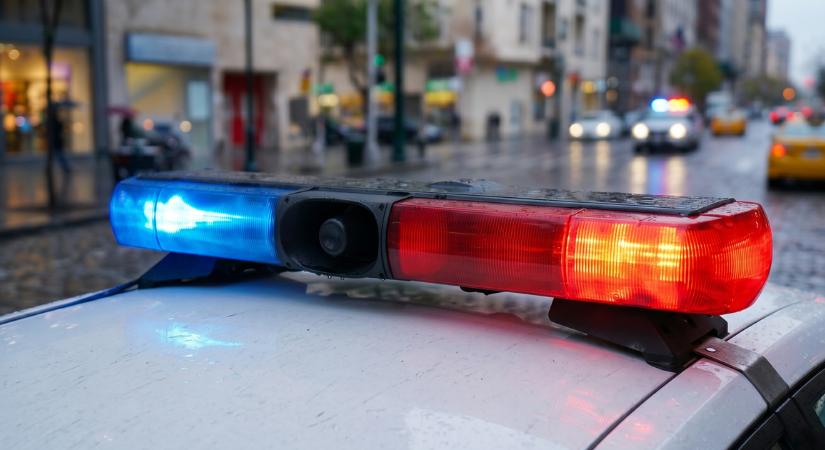 Épp végeztek, amikor megérkeztek a rendőrök: a sofőr menekült volna, de súlyos titok derült ki róla