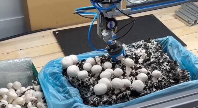 A Festo bemutatja a HPSX univerzális adaptív megfogót