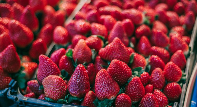 Ez komoly? Ennyibe kerül most egy kiló szamóca a lengyeleknél