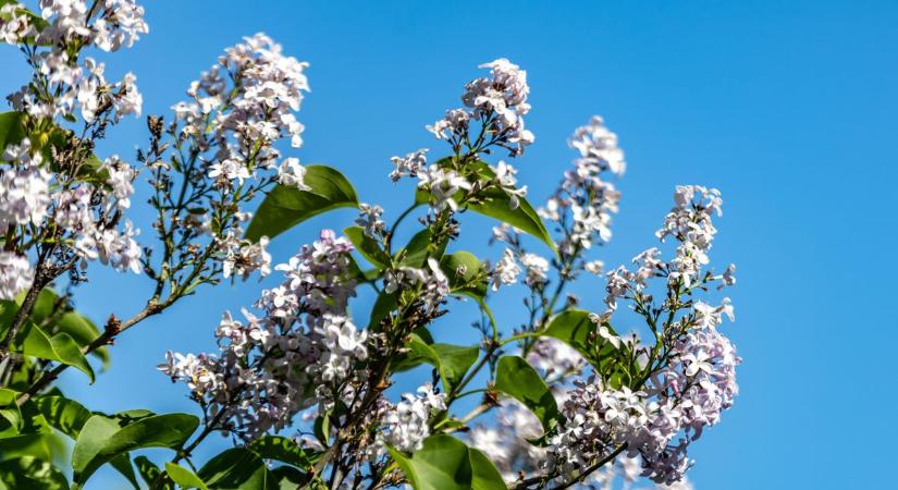 A hét leghidegebb napja lesz a holnapi, mutatjuk mi vár ránk csütörtökön