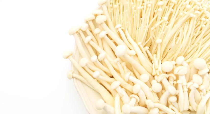 Gombát vettek le a boltok polcairól