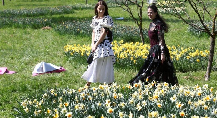 Szelesen indul, de naposan végződik a hét második fele megyénkben